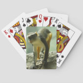 猿 トランプ (裏面)