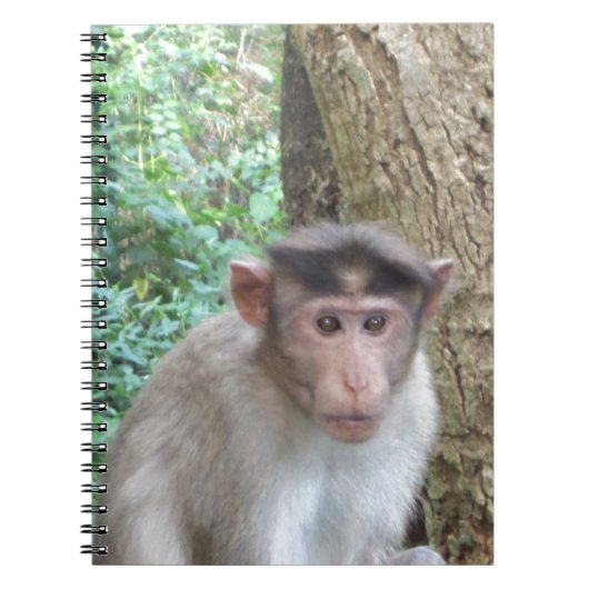 猿 ノートブック (正面)