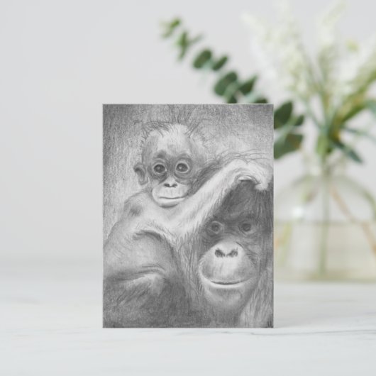 猿 ポストカード (スタンド正面)