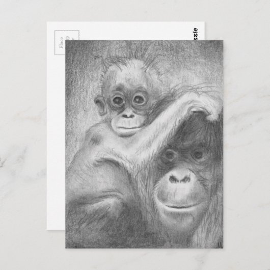 猿 ポストカード (正面/裏面)
