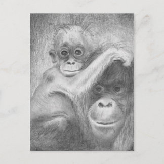 猿 ポストカード