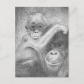 猿 ポストカード (正面)