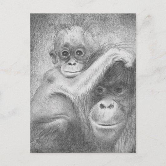猿 ポストカード (正面)