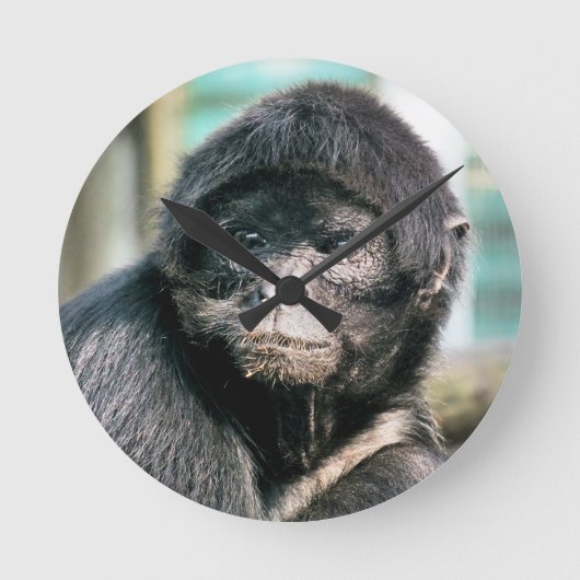 猿 ラウンド壁時計 (正面)