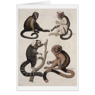 猿(色のlitho)