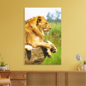 獅子が岩の上に横たわる キャンバスプリント (インサイチュ (リビング))