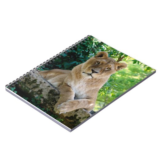 獅子が岩の上に横たわる ノートブック (左側)