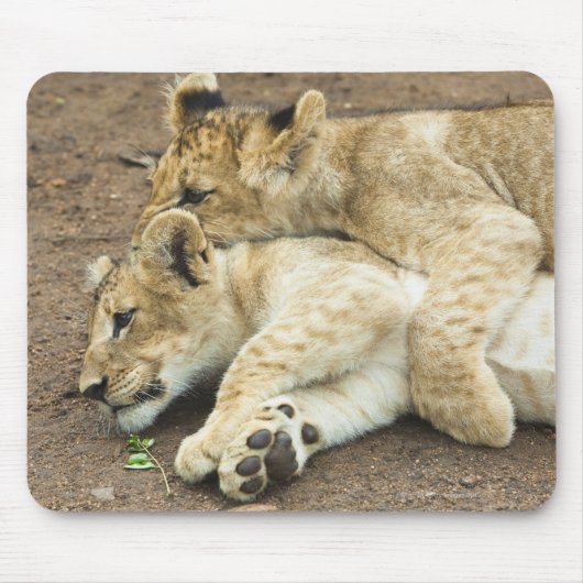 獅子が遊二匹。 マウスパッド (正面)