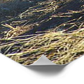 獅子の雄ポスター ポスター (角)