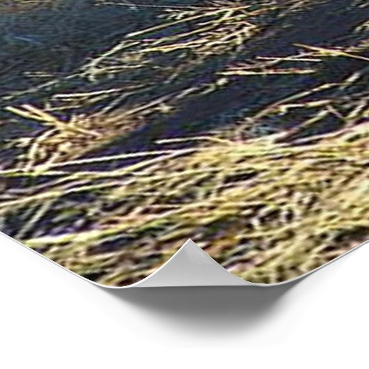 獅子の雄ポスター ポスター (角)