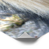 獅子の雄ポスター ポスター (角)