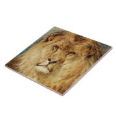 獅子の頭(ヘイウッド・ハーディによる) タイル (側面)
