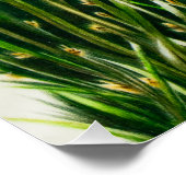 獅子は光沢のあるポスターを取り除く ポスター (コーナー)