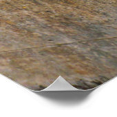 獅子像 ポスター (角)