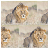 獅子威厳のある ファブリック (クローズアップ)