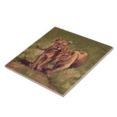 獅子子 タイル (側面)