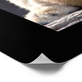 獅子子 ポスター (角)