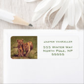 獅子子 ラベル (インサイチュ)