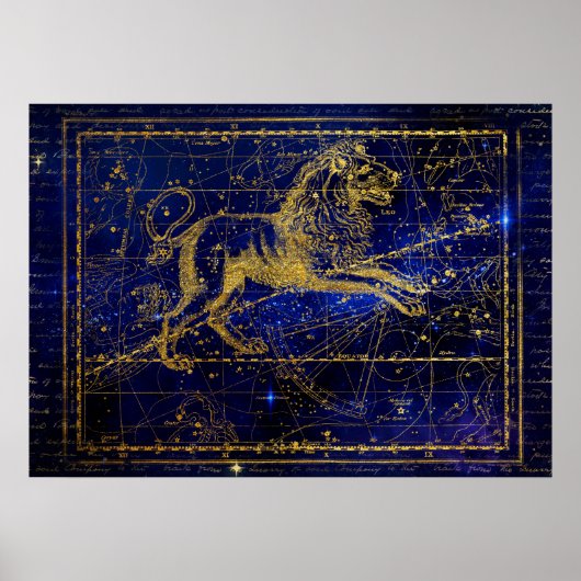 獅子座のポスター ポスター (正面)