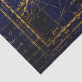 獅子座ティッシュペーパー 薄葉紙 (詳細)