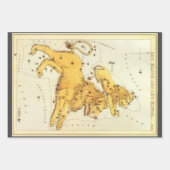 獅子座ヴィンテージ座ウラニア鏡 ラッピングペーパーシート (正面2)