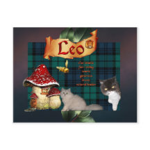 獅子座太陽写真はがき