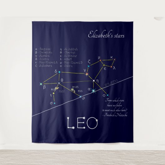 獅子座 タペストリー (正面)