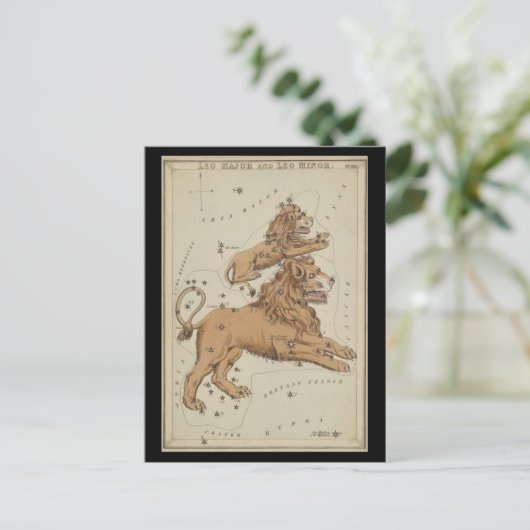 獅子座 ポストカード (スタンド正面)