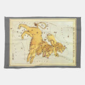 獅子座 ヴィンテージ星座 ウラニアの鏡 キッチンタオル (横)