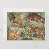 獅子猫ジャングル男女兼用赤ちゃんシャワーbyメール 招待状 (裏面)