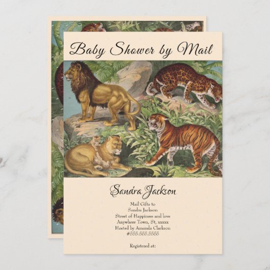 獅子猫ジャングル男女兼用赤ちゃんシャワーbyメール 招待状 (正面/裏面)
