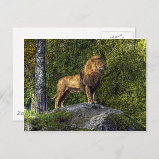 獅子王 ポストカード (正面/裏面)