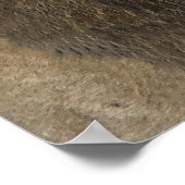 獅子術 ポスター (角)