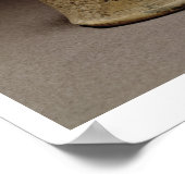 獅子頭の悪魔の小像， Mesopotamia, c.5 ポスター (角)