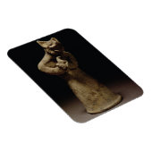 獅子頭の悪魔の小像， Mesopotamia, c.5 マグネット (右側)