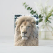 獅子頭はがき ポストカード (スタンド正面)