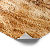 獅子頭ポスター ポスター (角)