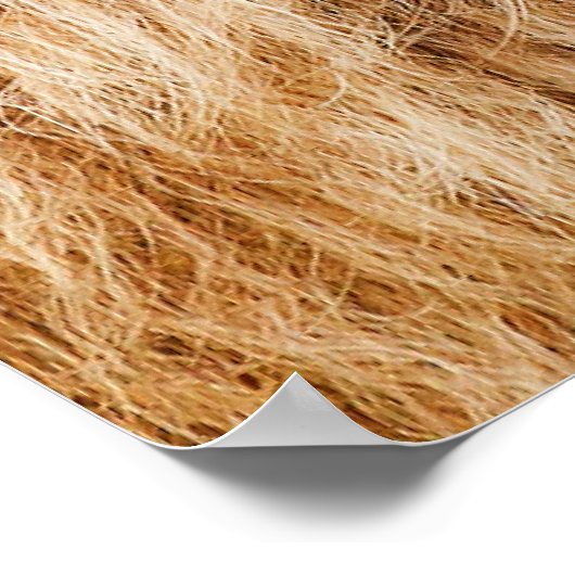 獅子頭ポスター ポスター (角)