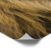 獅子頭 ポスター (角)