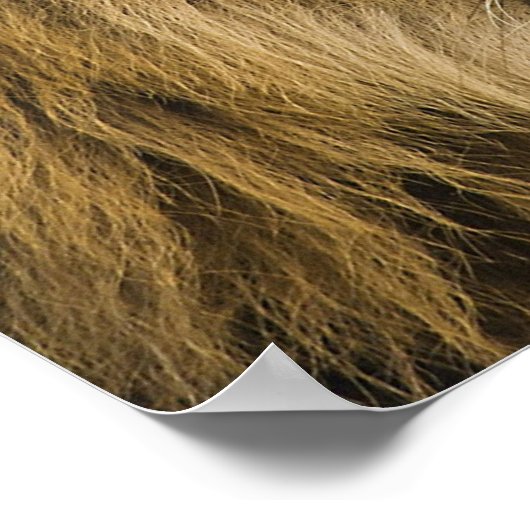 獅子頭 ポスター (角)