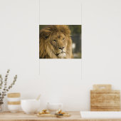 獅子頭 ポスター (キッチン)