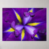 獅子頭 ポスター (正面)