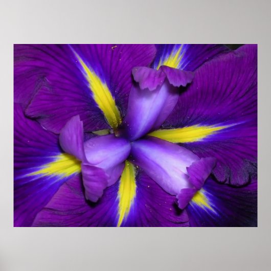 獅子頭 ポスター (正面)