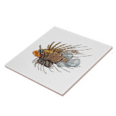 獅子魚 タイル (側面)