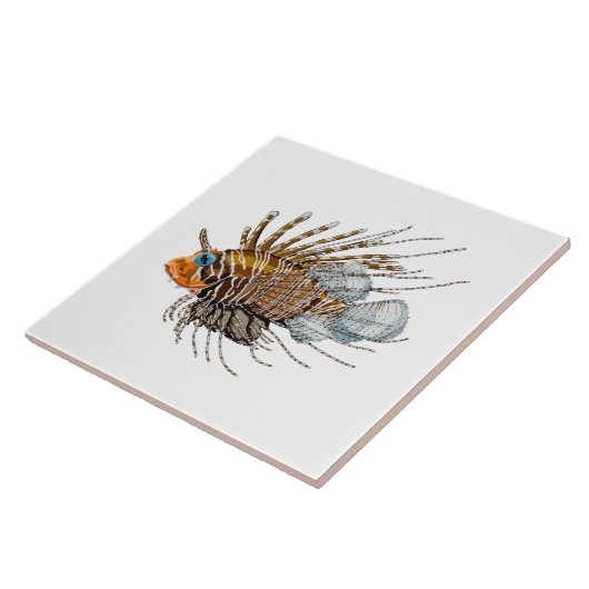 獅子魚 タイル (側面)