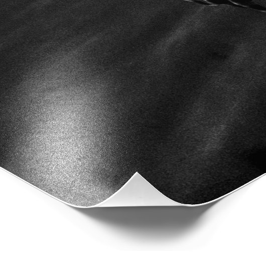 獅子魚 フォトプリント            (角)