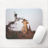 獅子7 マウスパッド (マウス)