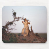 獅子7 マウスパッド (正面)