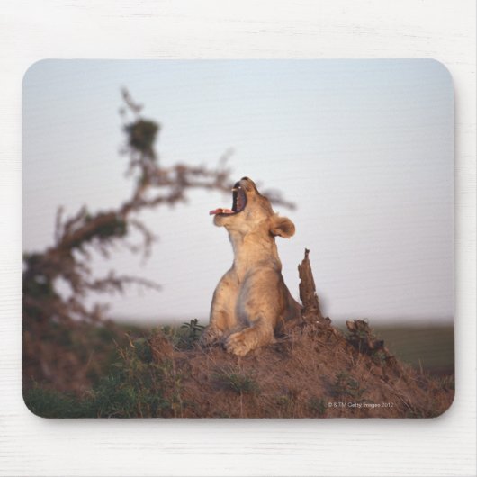 獅子7 マウスパッド (正面)