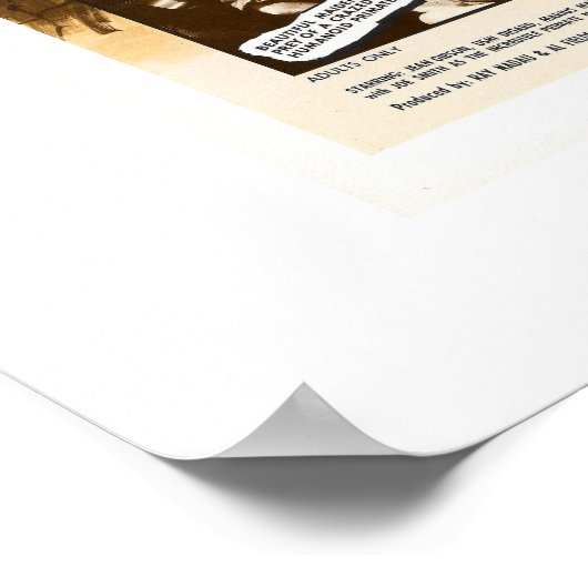 獣とビクセンス ポスター (角)